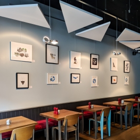 Display of prints and originals at Pomegranate Café Restaurant